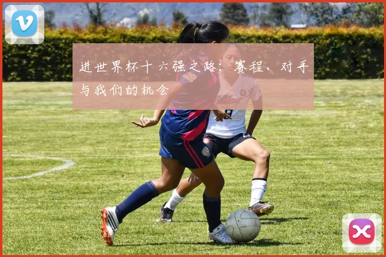 进世界杯十六强之路：赛程、对手与我们的机会