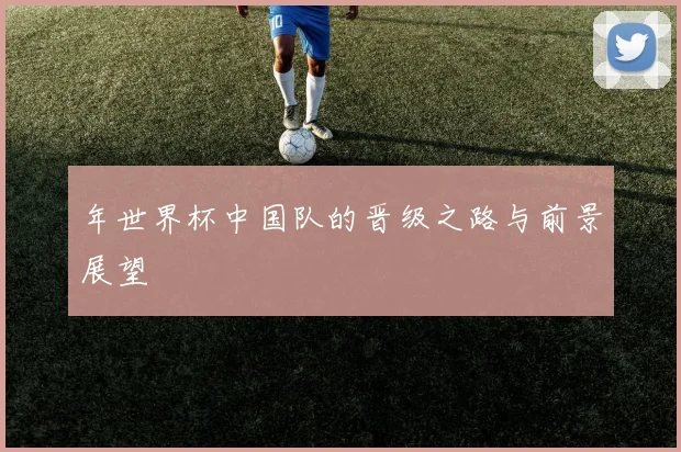 年世界杯中国队的晋级之路与前景展望