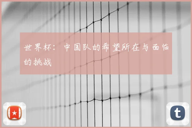 世界杯：中国队的希望所在与面临的挑战